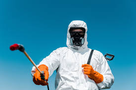 Reliable Bloomer, WI Pest Control Solutions